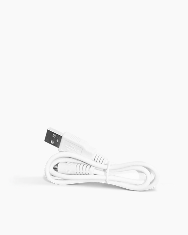 Perfector Charger (Replacement)